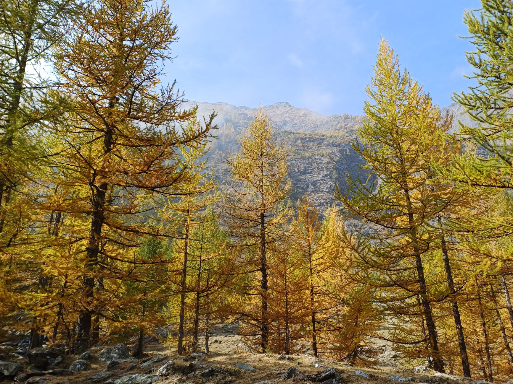 Autumn in Trentino