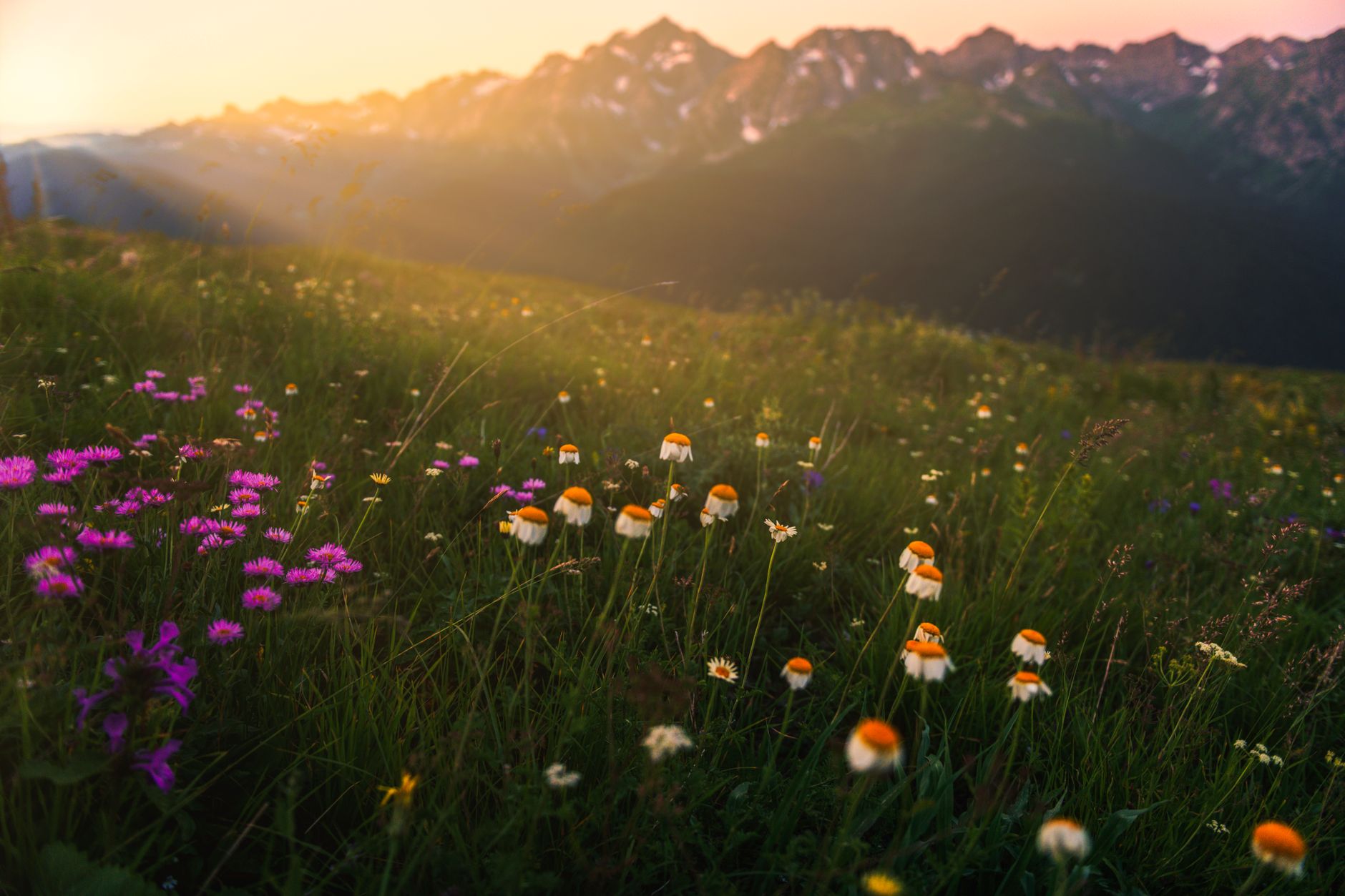 Frühling im Trentino